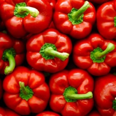 Omaxe Capsicum Red Imported (25 seeds)